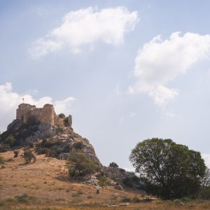 Still Standing